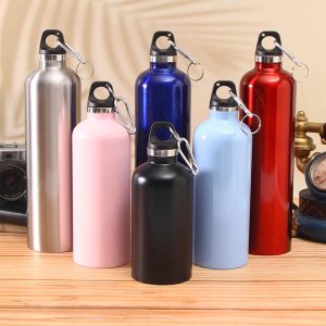 SC-8028 American Small Mouth Stainless Steel Sports Insulation Bottle (2)